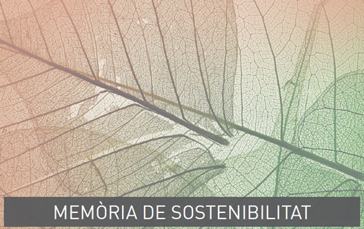 Mem&ograve;ria de Sostenibilidad Condis