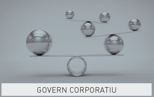 Govern corporatiu - Condis