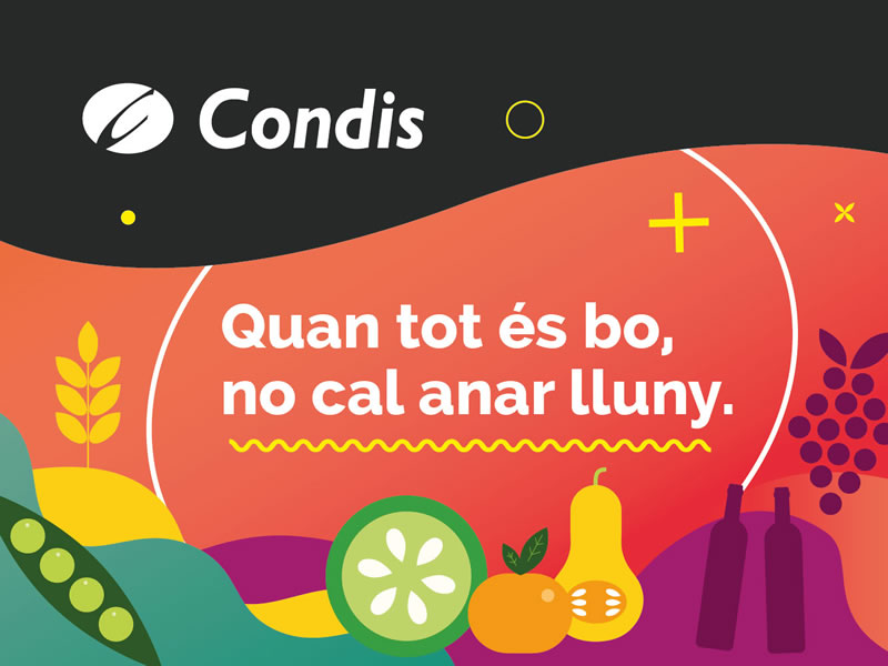 Condis