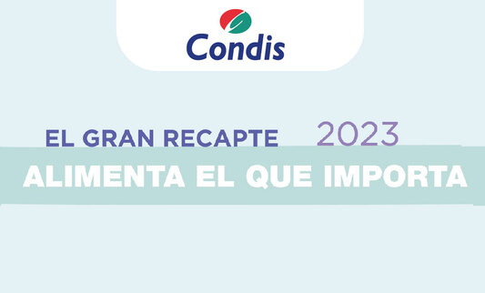 CONDIS RECAPTA MÉS DE 200.000 KG D’ALIMENTS EN  LA 15A EDICIÓ DEL GRAN RECAPTE 
