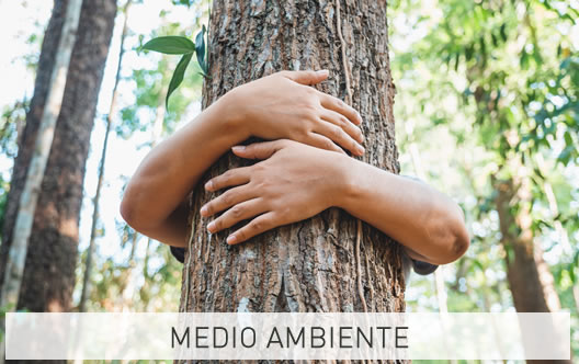 RSC Medioambiental