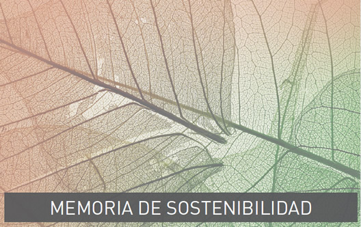 Memoria de Sostenibilidad Condis