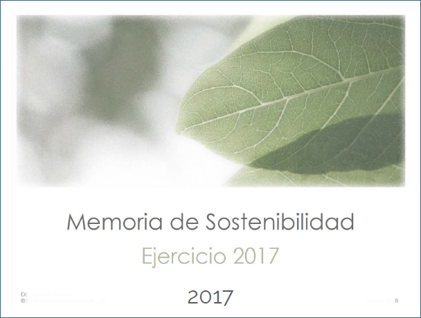 Memoria de Sostenibilidad Condis 2017