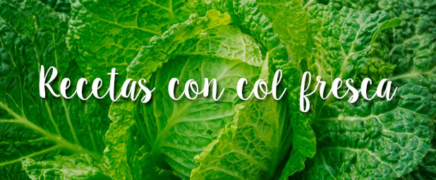 Recetas con col fresca
