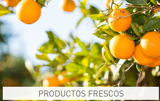 Productos frescos Condis