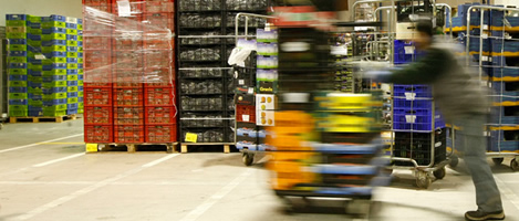 ALMACÉN DE FRUTA EN MERCABARNA