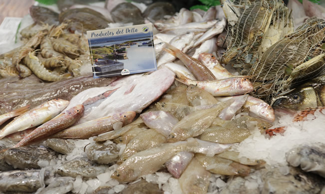 Condislife Tu Súper