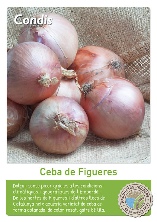 Ceba de Figueres