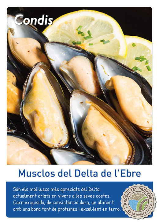 Musclos del Delta de l'Ebre