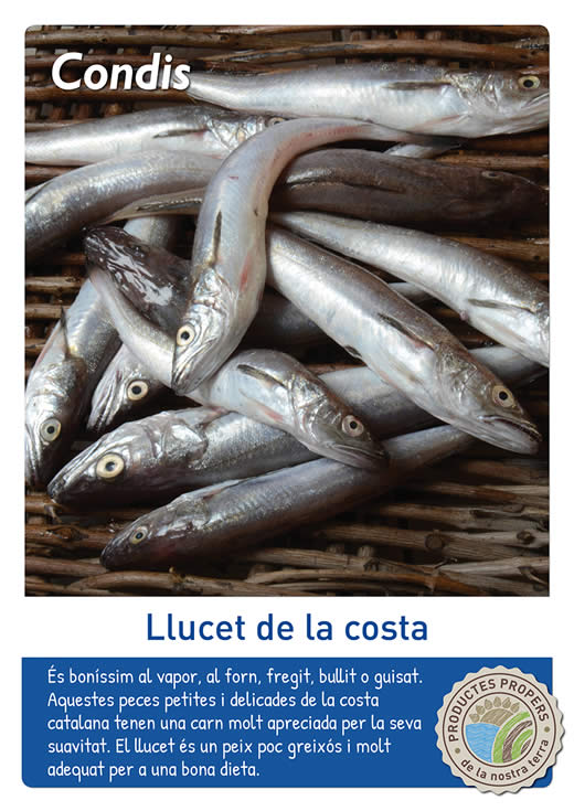 Llucet de la costa
