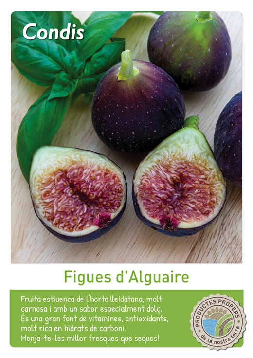 Figues d'Alguaire